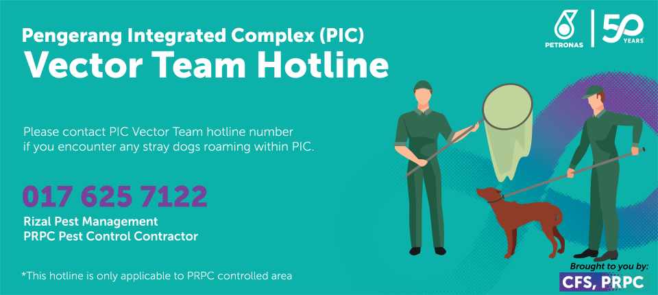Did you see any stray dogs roaming within PIC? PIC Vector Team is ready to assist!